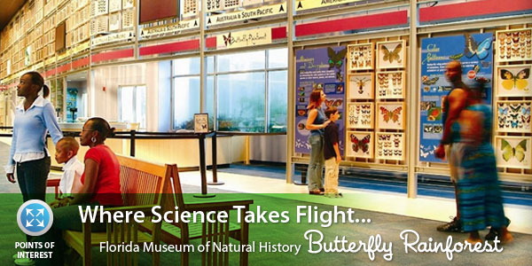 Points of Interest - Butterfly Rainforest